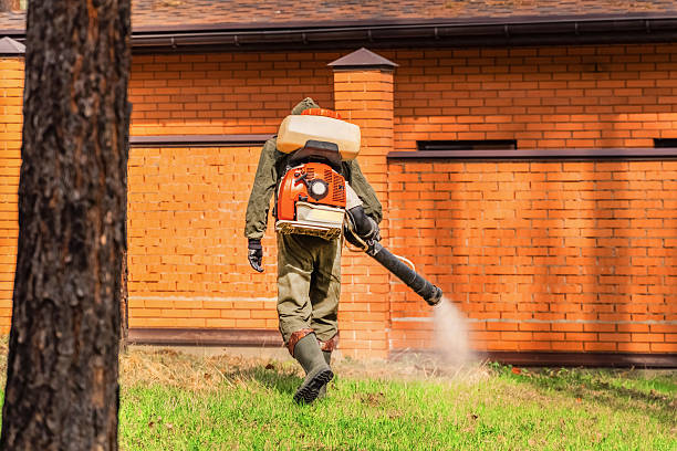 Bed Bug Clearance Verification and Documentation in Manchester
